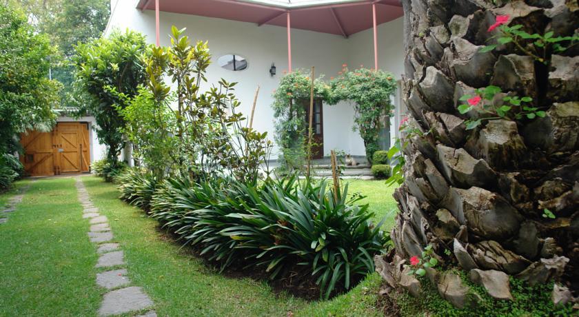 La Casa De Las Magnolias Hotel Coyoacan Exterior photo